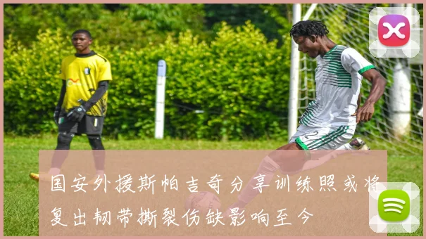 国安外援斯帕吉奇分享训练照或将复出韧带撕裂伤缺影响至今