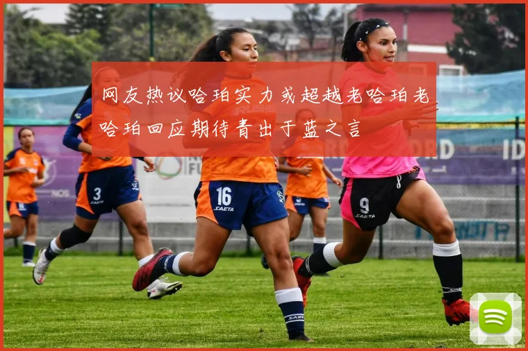 网友热议哈珀实力或超越老哈珀老哈珀回应期待青出于蓝之言
